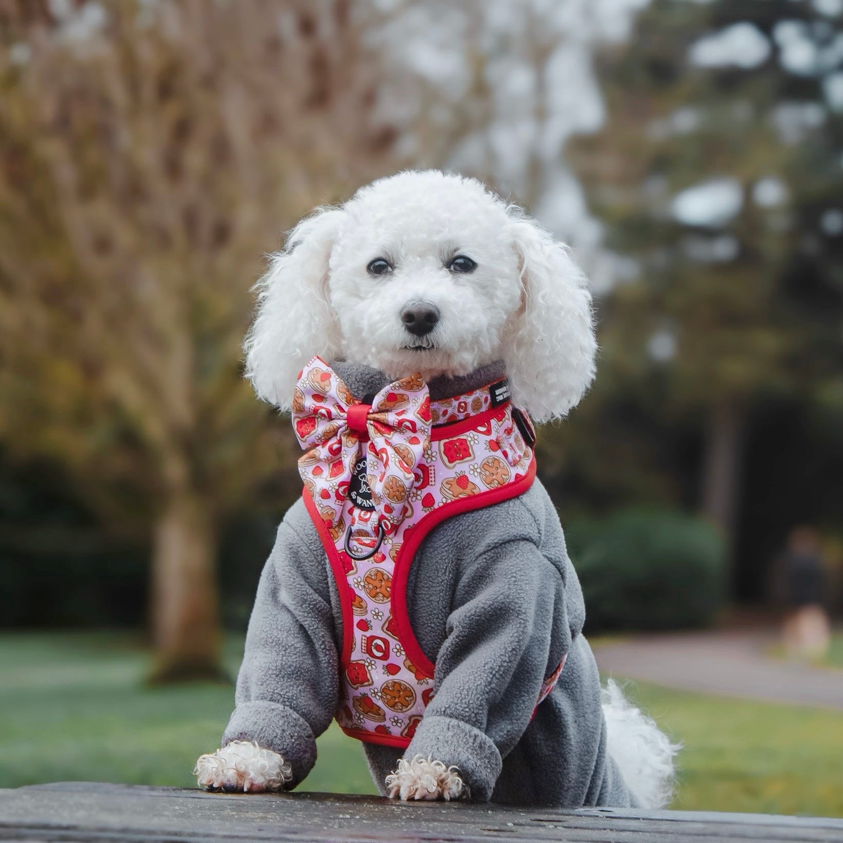 Strawberry Woofles Collar