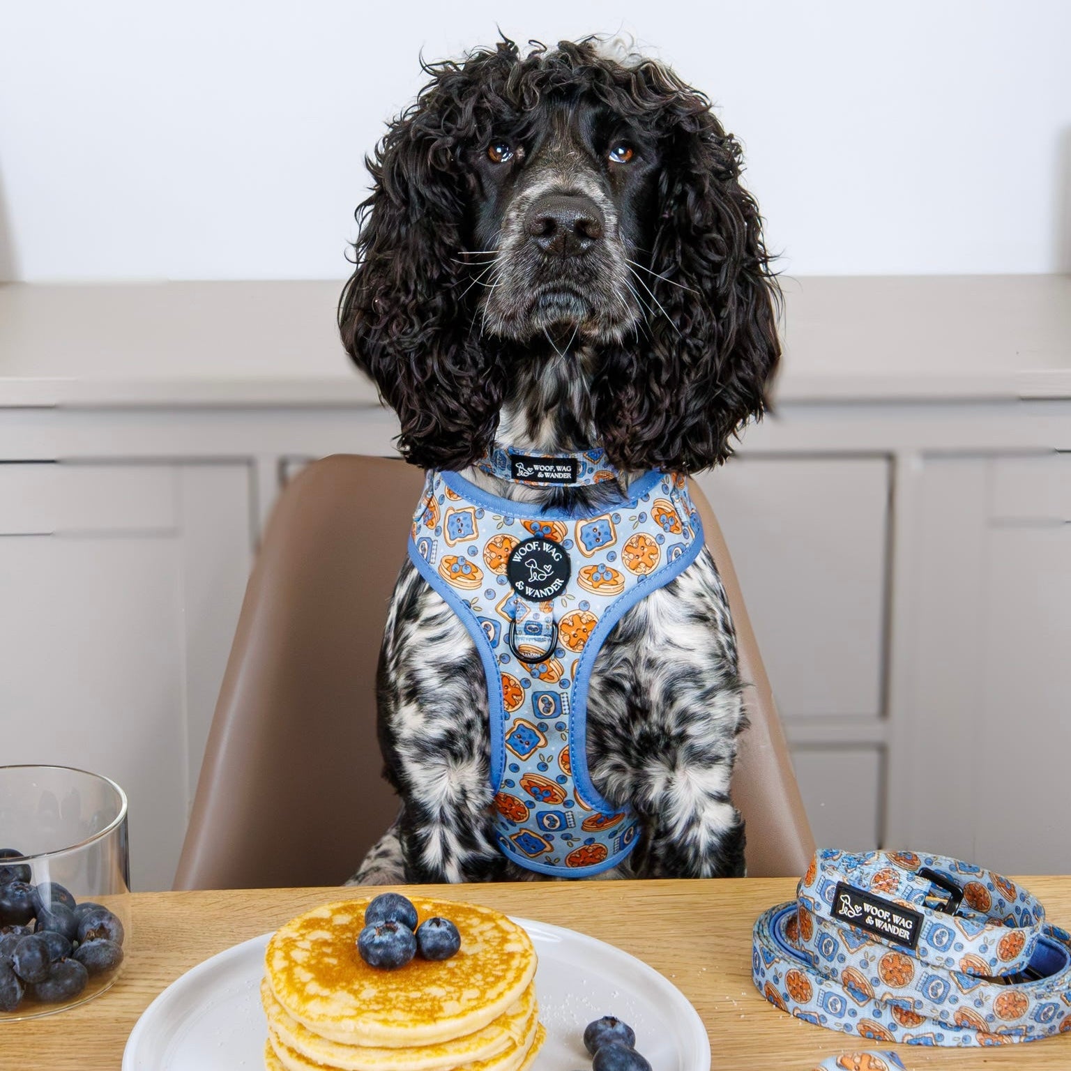 Blueberry Woofles Collar