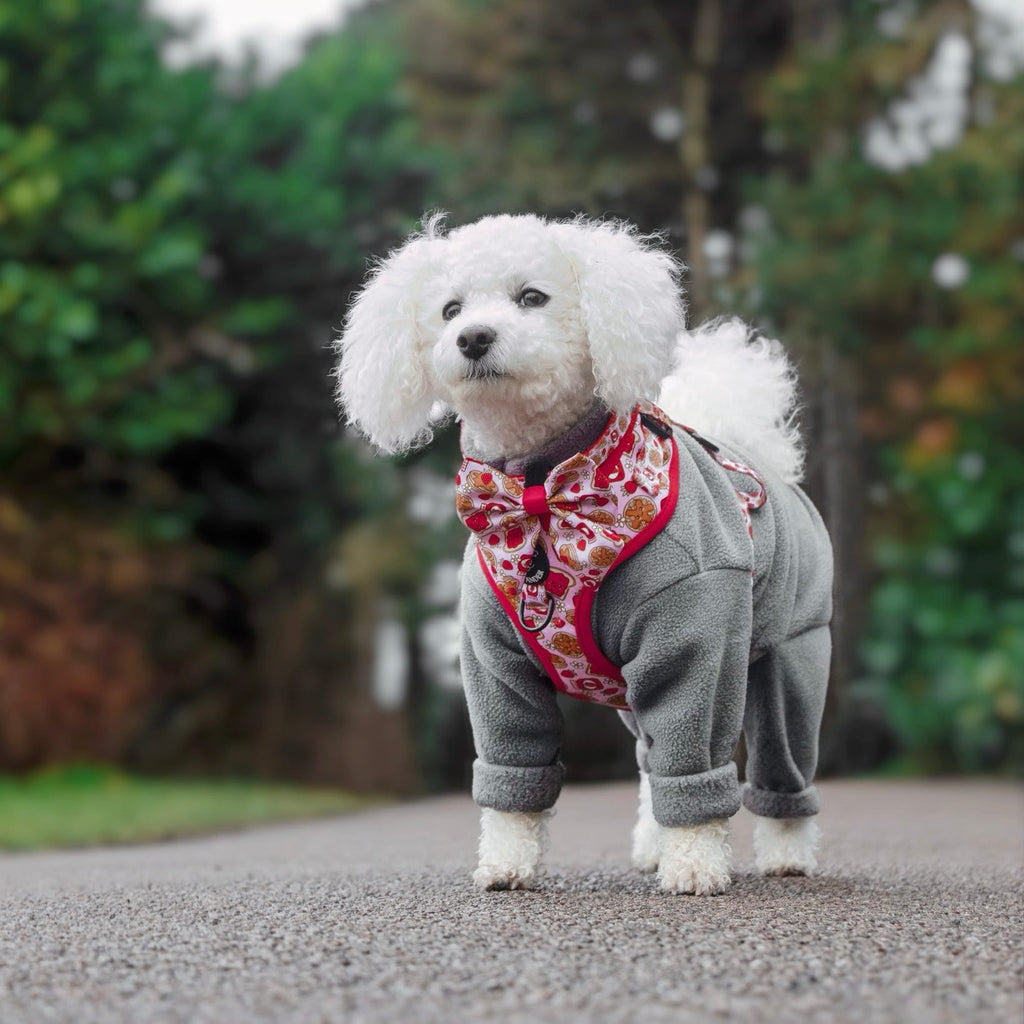 Strawberry Woofles Harness