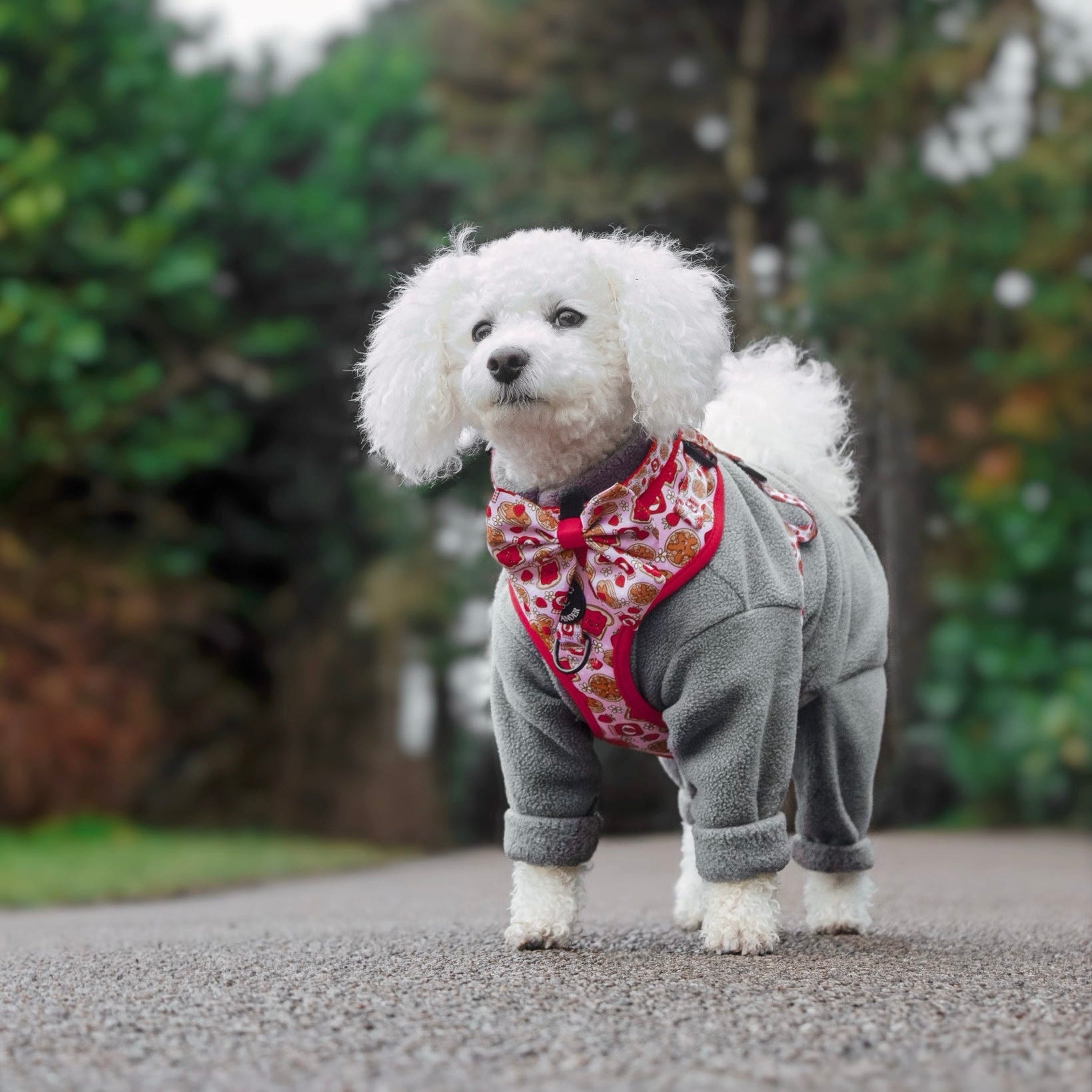 Strawberry Woofles Harness