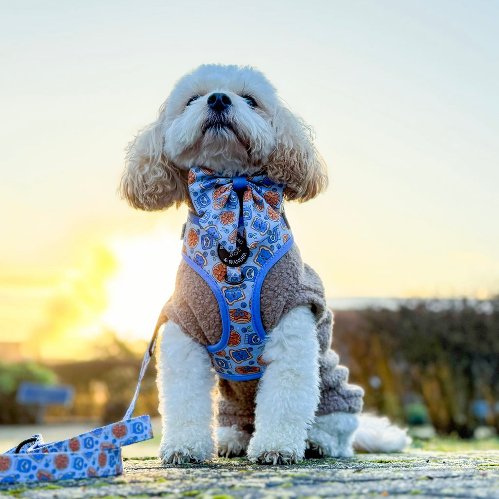 Blueberry Woofles Lead