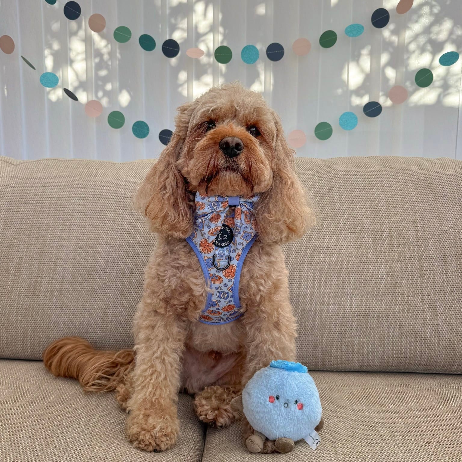 Blueberry Woofles Harness