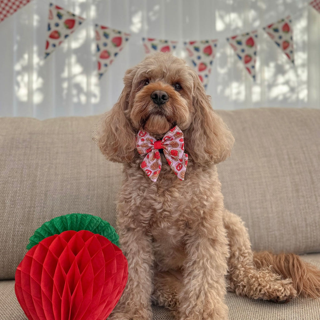 Strawberry Woofles Bow