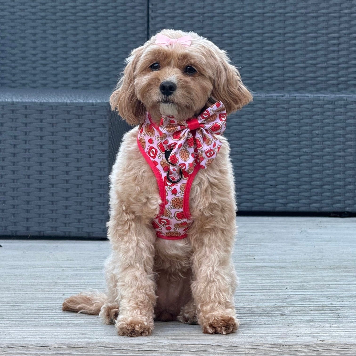 Strawberry Woofles Harness