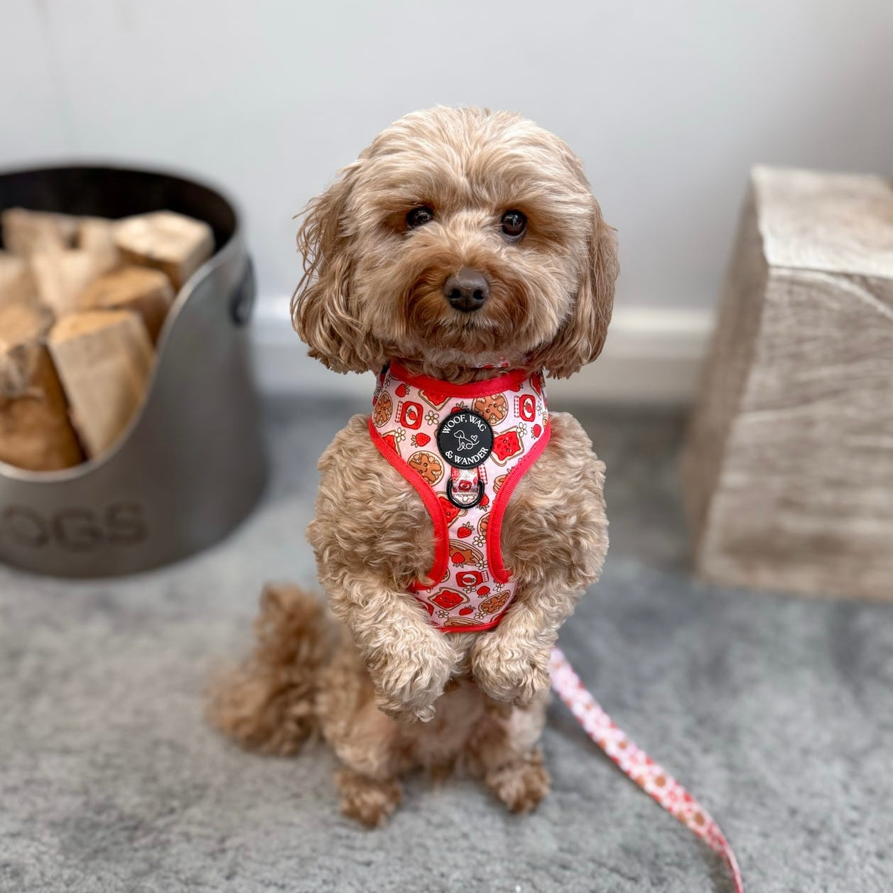 Strawberry Woofles Harness