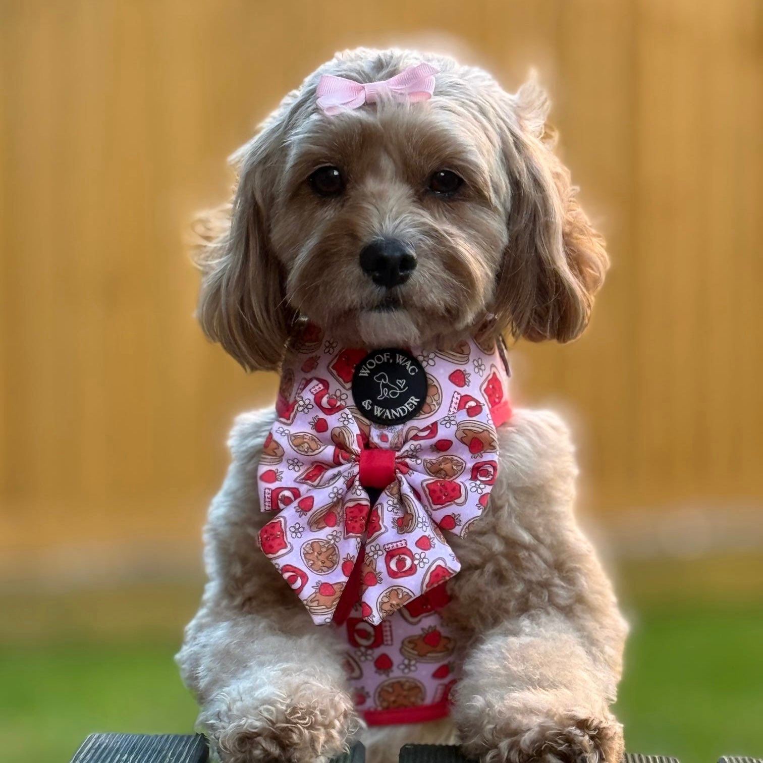 Strawberry Woofles Bow