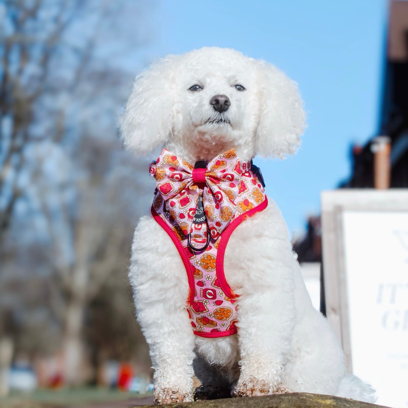 Strawberry Woofles Bow
