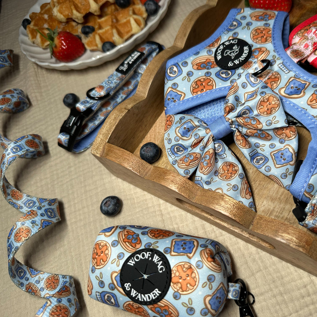 Blueberry Woofles Harness