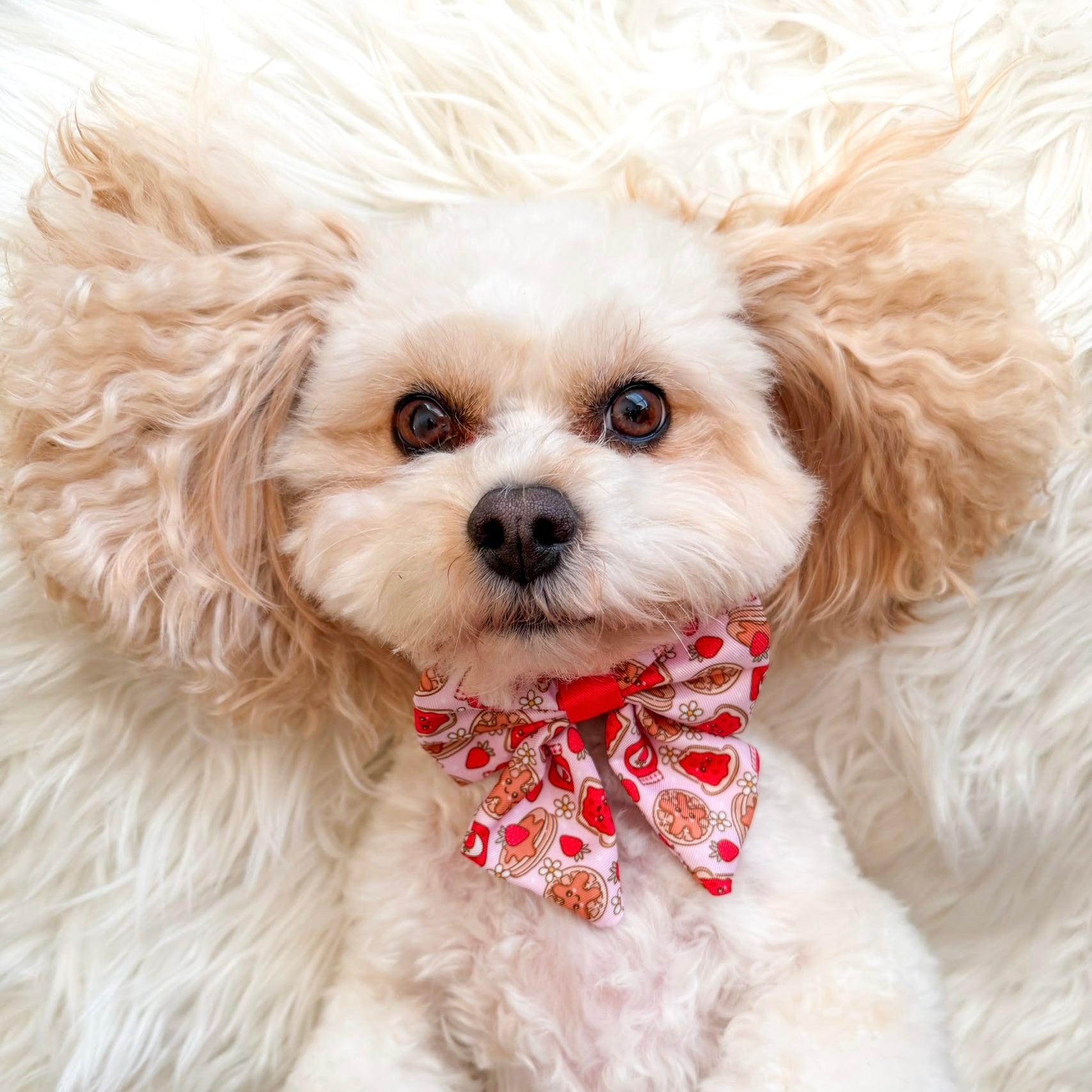 Strawberry Woofles Bow