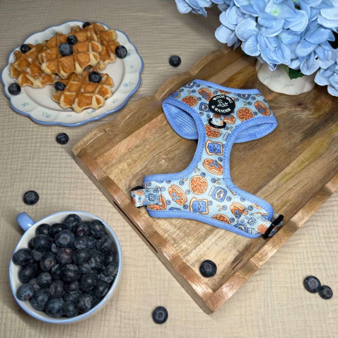 Blueberry Woofles Harness