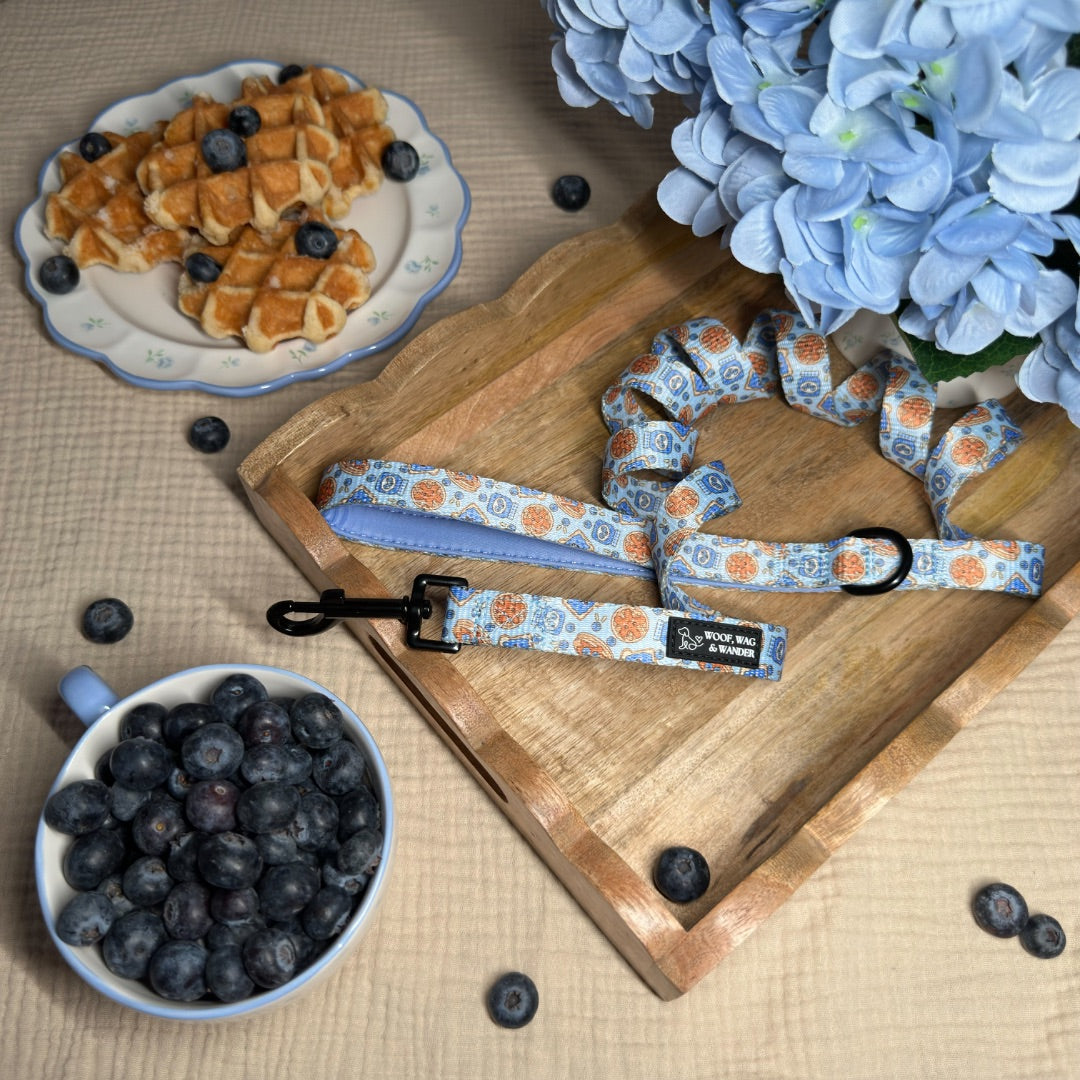 Blueberry Woofles Lead