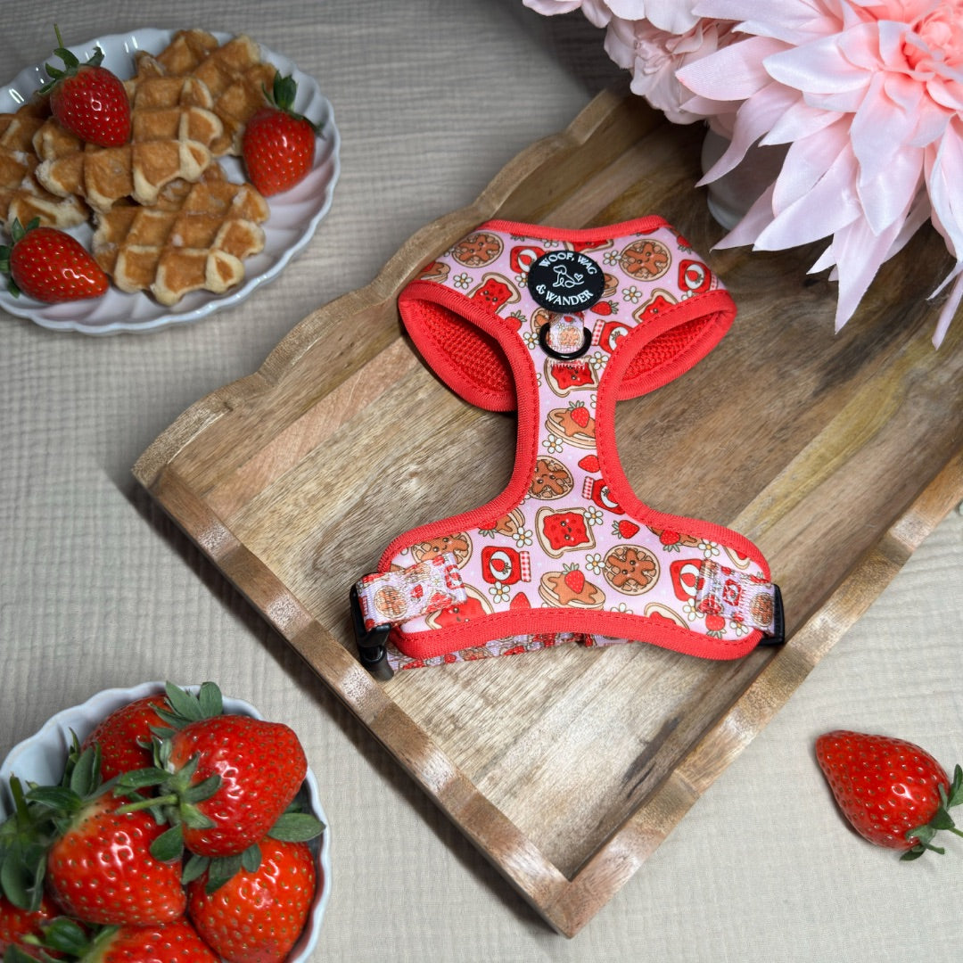 Strawberry Woofles Harness