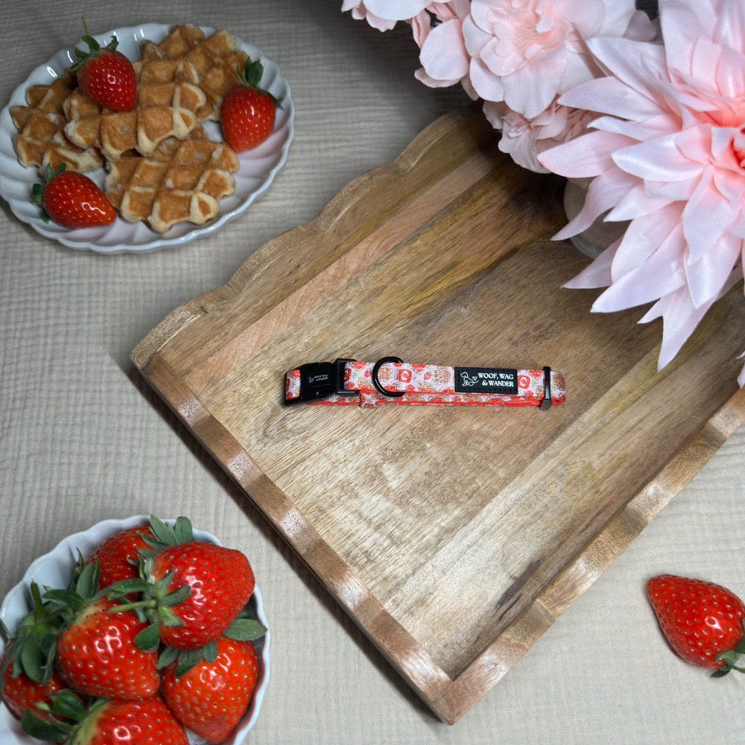 Strawberry Woofles Collar