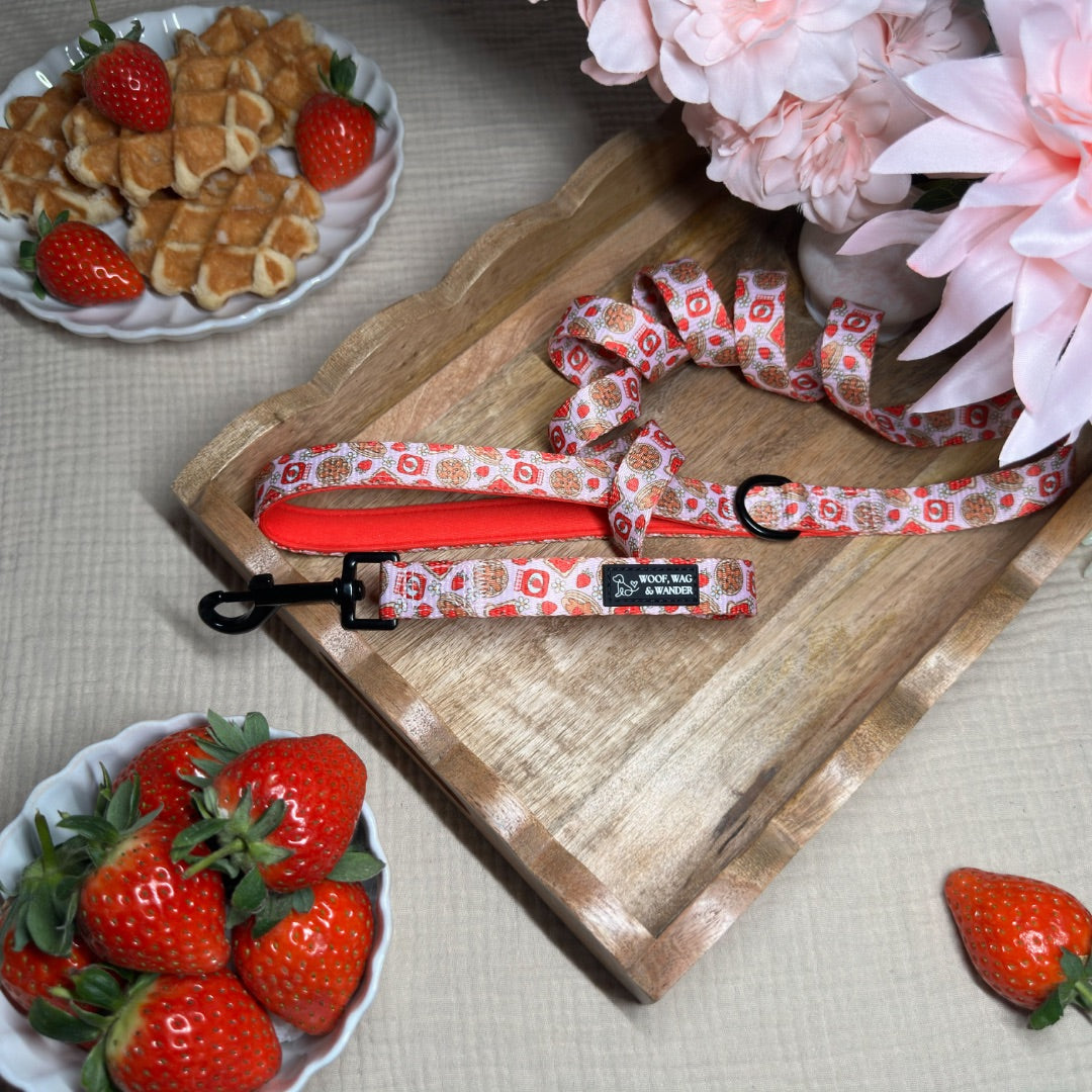 Strawberry Woofles Lead