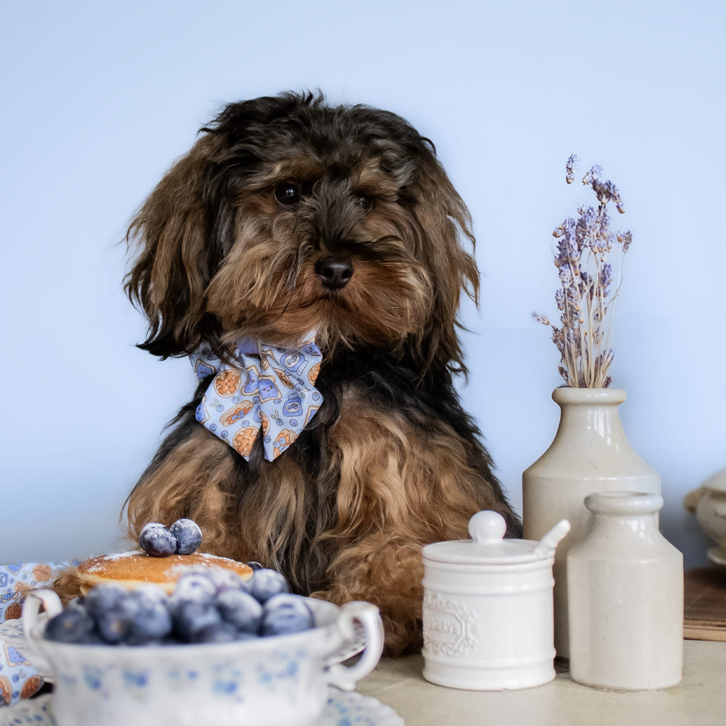 Blueberry Woofle Bow