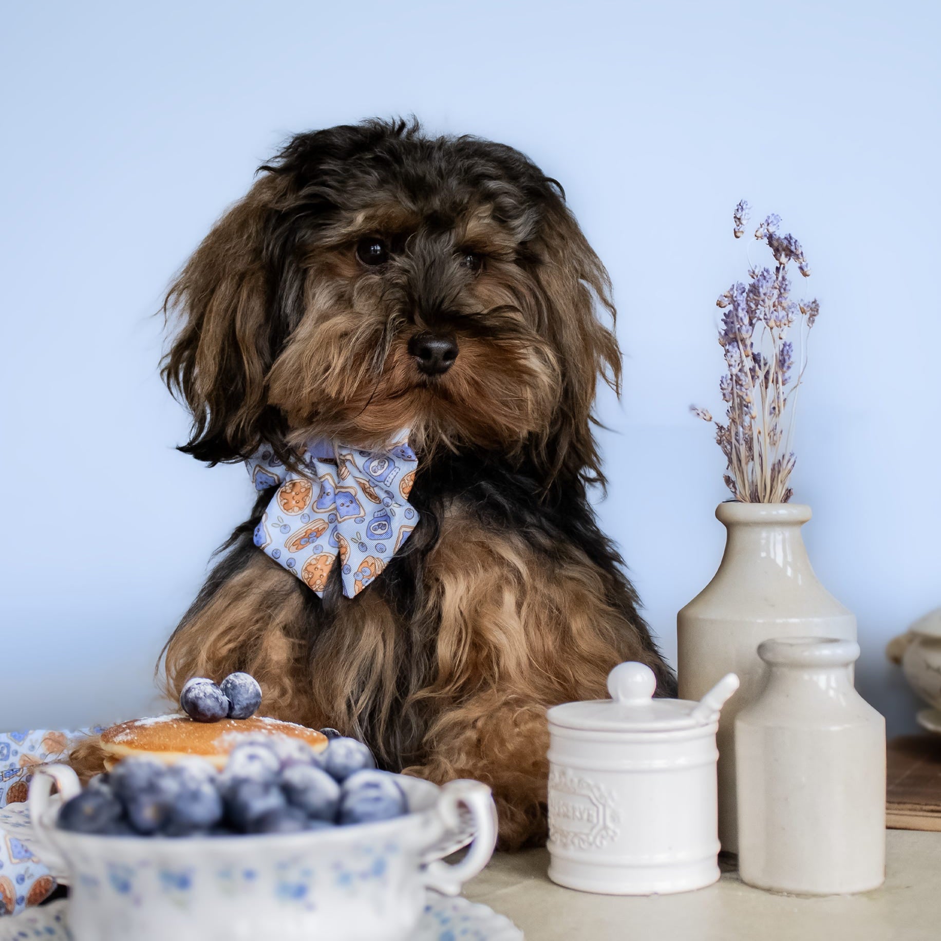 Blueberry Woofle Bow