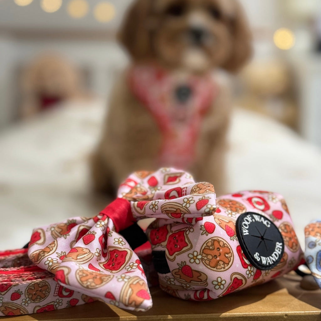 Strawberry Woofles Poop Bag Holder