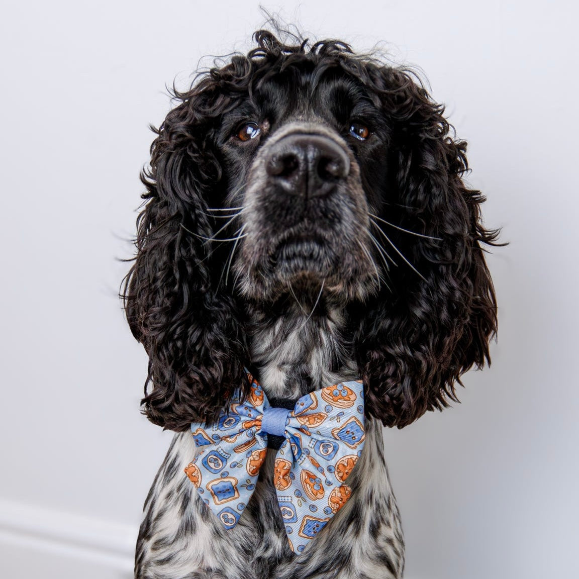 Blueberry Woofle Bow