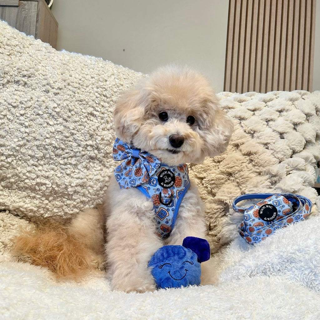 Blueberry Woofles Harness