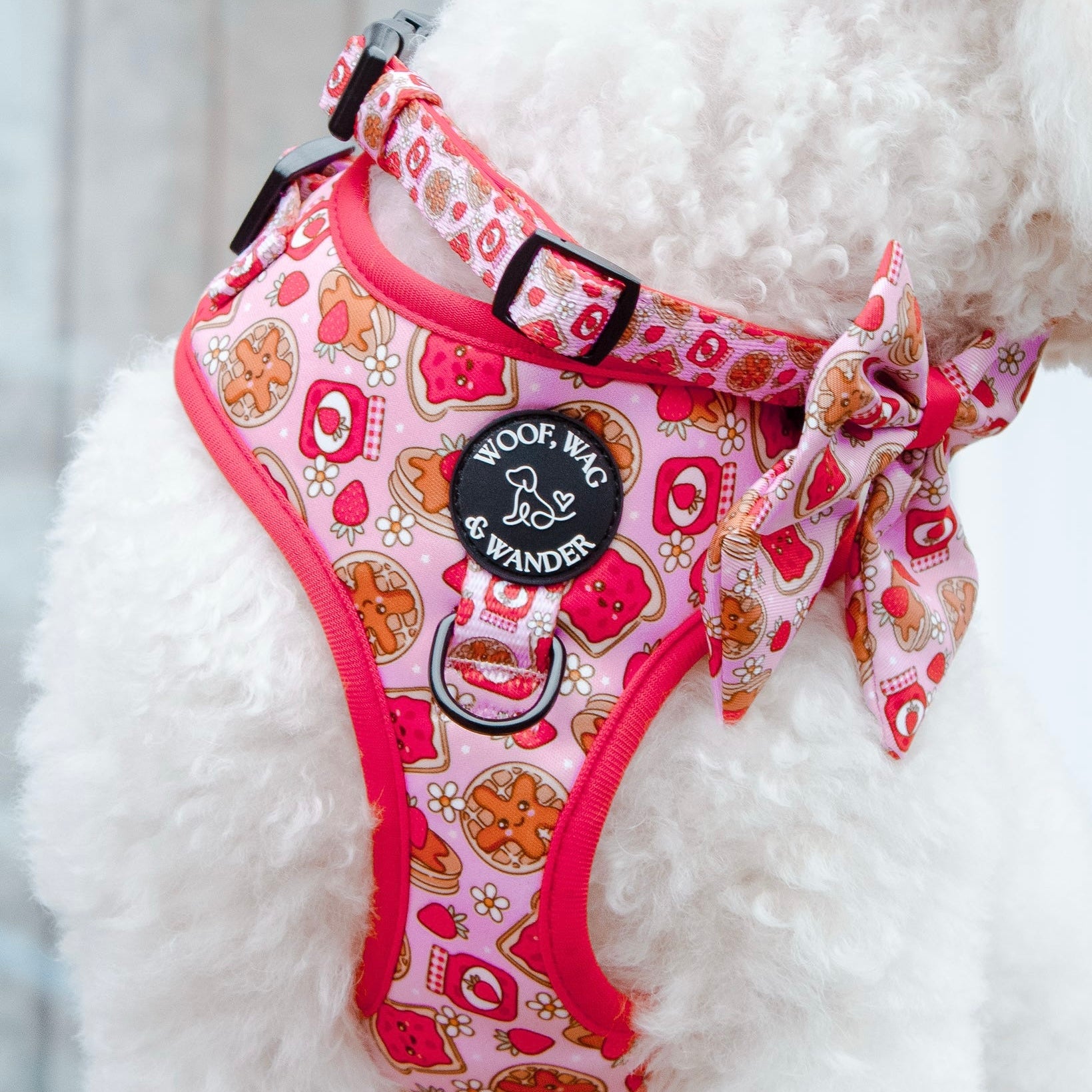 Strawberry Woofles Collar